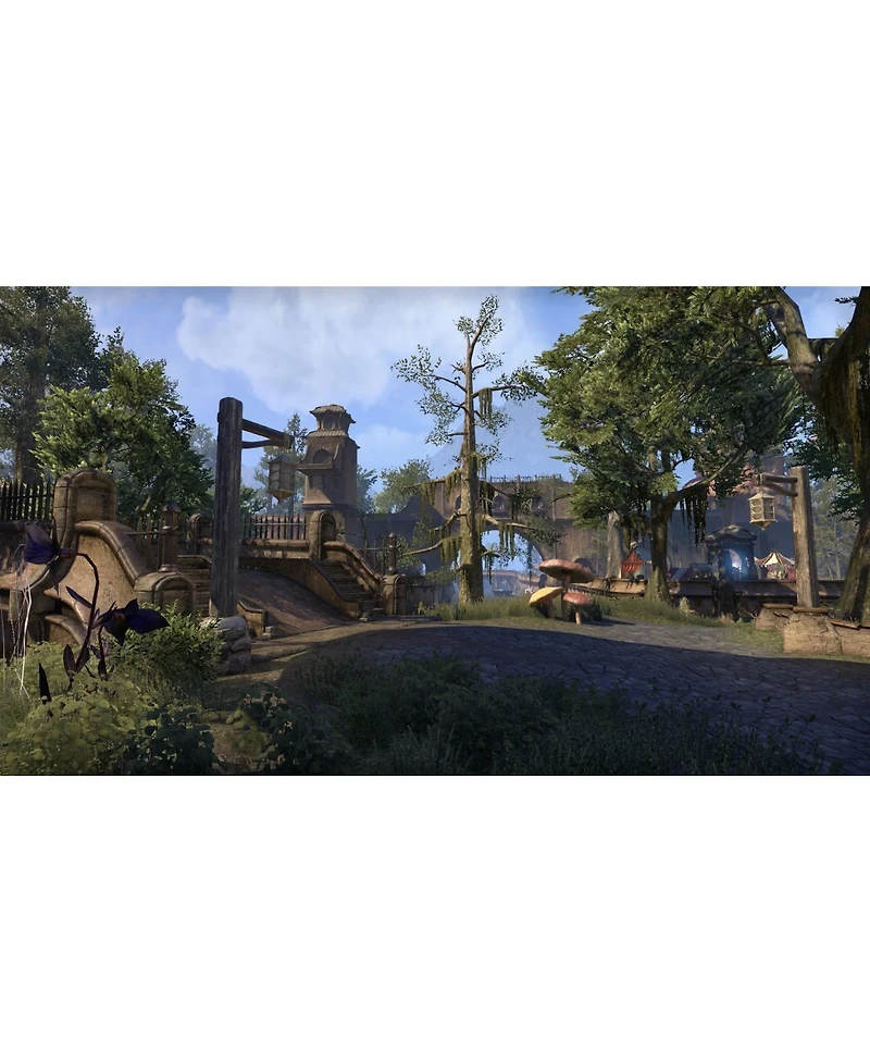Bethesda The Elder Scrolls Online: Morrowind