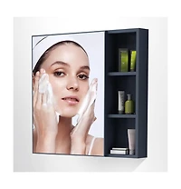Vanirror 24-30" Blue Mirrored Medicine Cabinet - Wall-Mounted Bathroom Storage with Adjustable Shelf