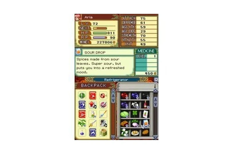 Natsume Rune Factory 2: A Fantasy Harvest Moon