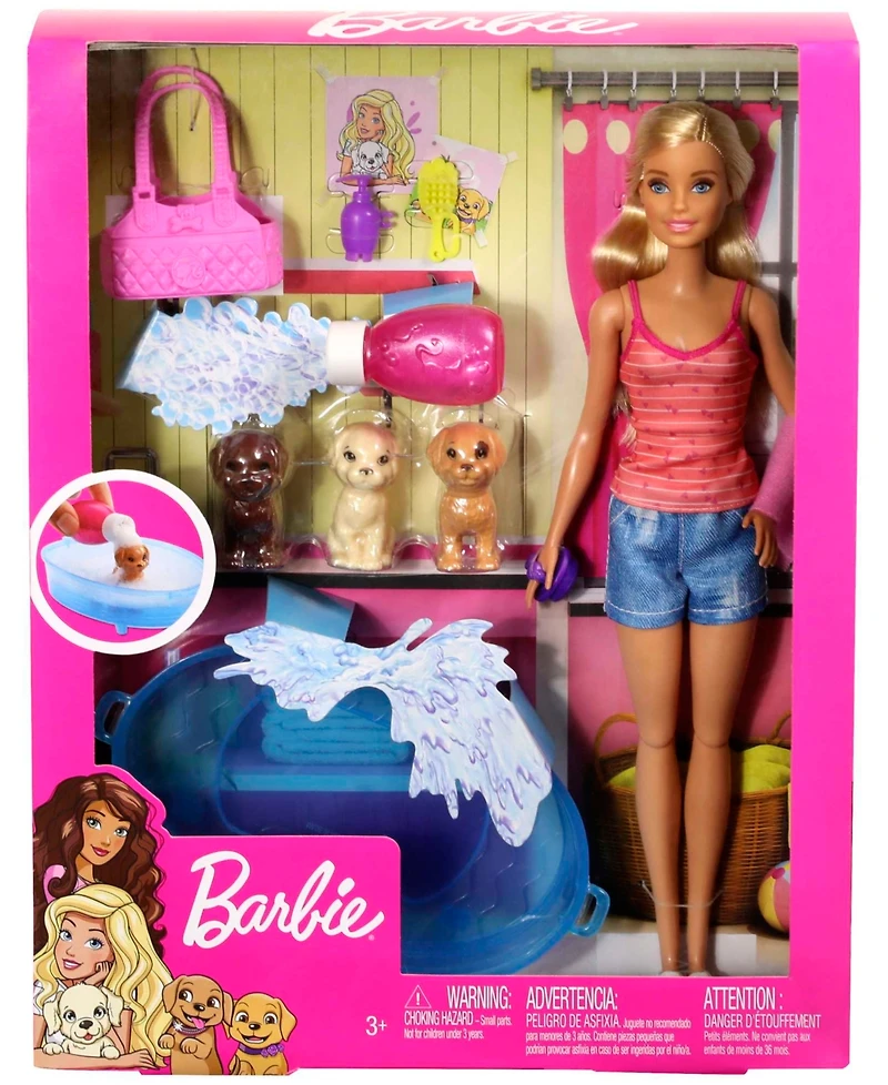 Barbie Doll & Accessories