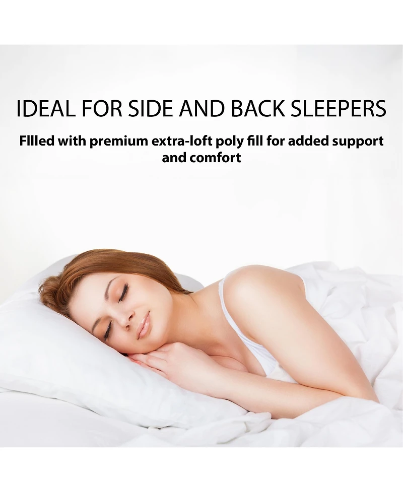 Sanctuary 2-Pack Pillow, Standard (A $50.00 Value)