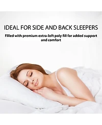 Sanctuary 2-Pack Pillow, Standard (A $50.00 Value)
