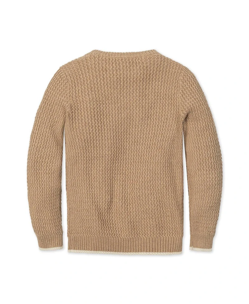 Hope & Henry Little and Big Boys' Organic Long Sleeve Crewneck Sweater with Buttons