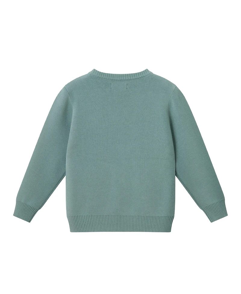 Andy & Evan Toddler/Child Boys Happy Camper Sweater