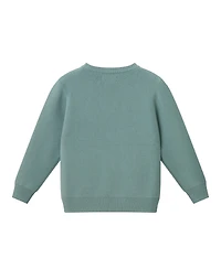 Andy & Evan Toddler/Child Boys Happy Camper Sweater