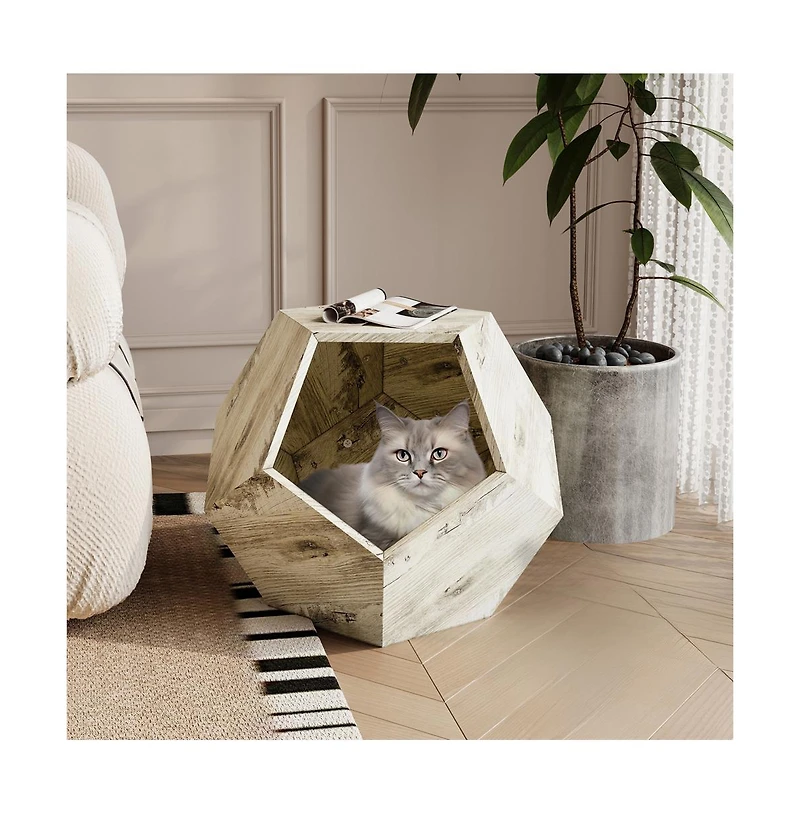 Zeus & Ruta 25.98" Pet Carrier Side Table Planter in Colored Oak