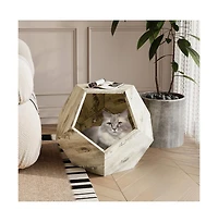 Zeus & Ruta 25.98" Pet Carrier Side Table Planter in Colored Oak