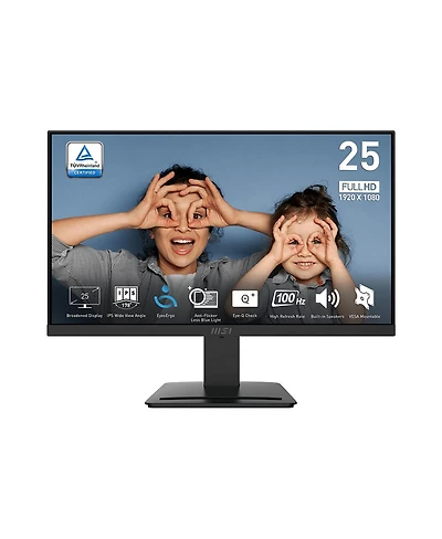 Msi Pro MP253 24.5" 16:9 Full Hd 100Hz Ips Lcd Monitor, Matte Black
