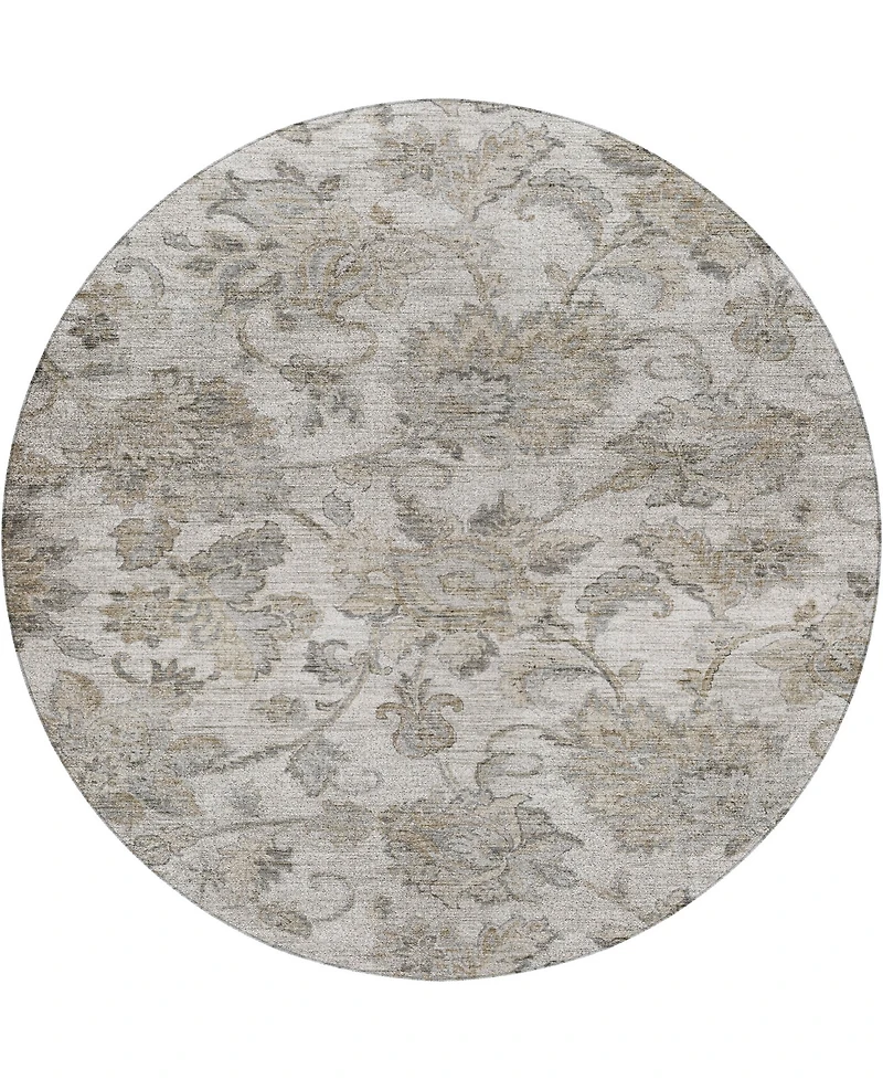 Dalyn Silk Road Washable SR2 8'x8' Round Area Rug