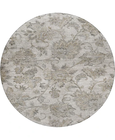 Dalyn Silk Road Washable SR2 8'x8' Round Area Rug