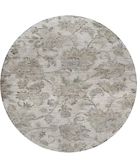 Dalyn Silk Road Washable SR2 8'x8' Round Area Rug