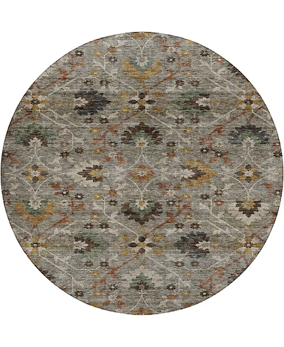 Dalyn Silk Road Washable SR4 8'x8' Round Area Rug