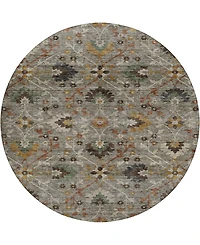 Dalyn Silk Road Washable SR4 8'x8' Round Area Rug
