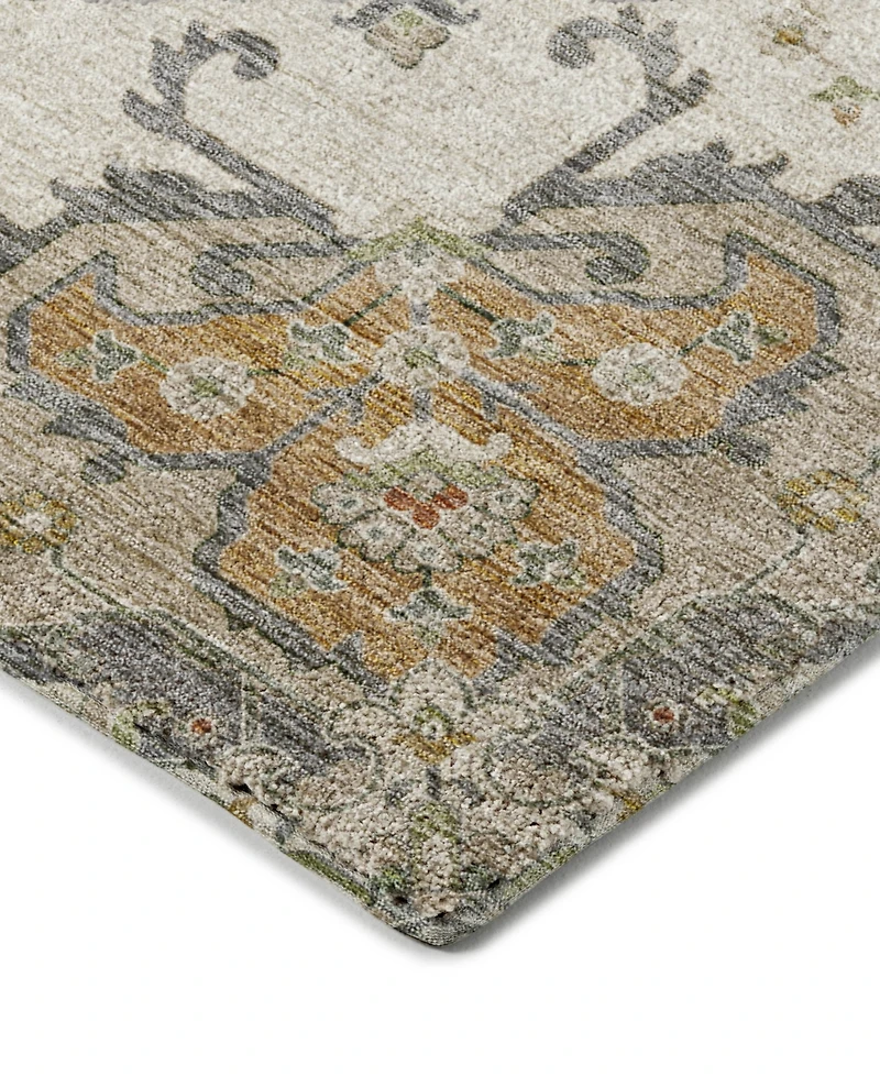 Dalyn Silk Road Washable SR6 9'x12' Area Rug