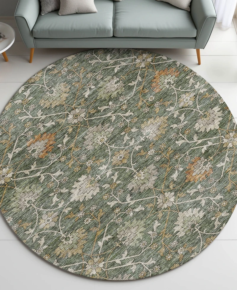 Dalyn Silk Road Washable SR1 8'x8' Round Area Rug