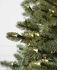 Balsam Hill 6.5' Pre-Lit Vermont White Spruce Ledc Artificial Christmas Tree
