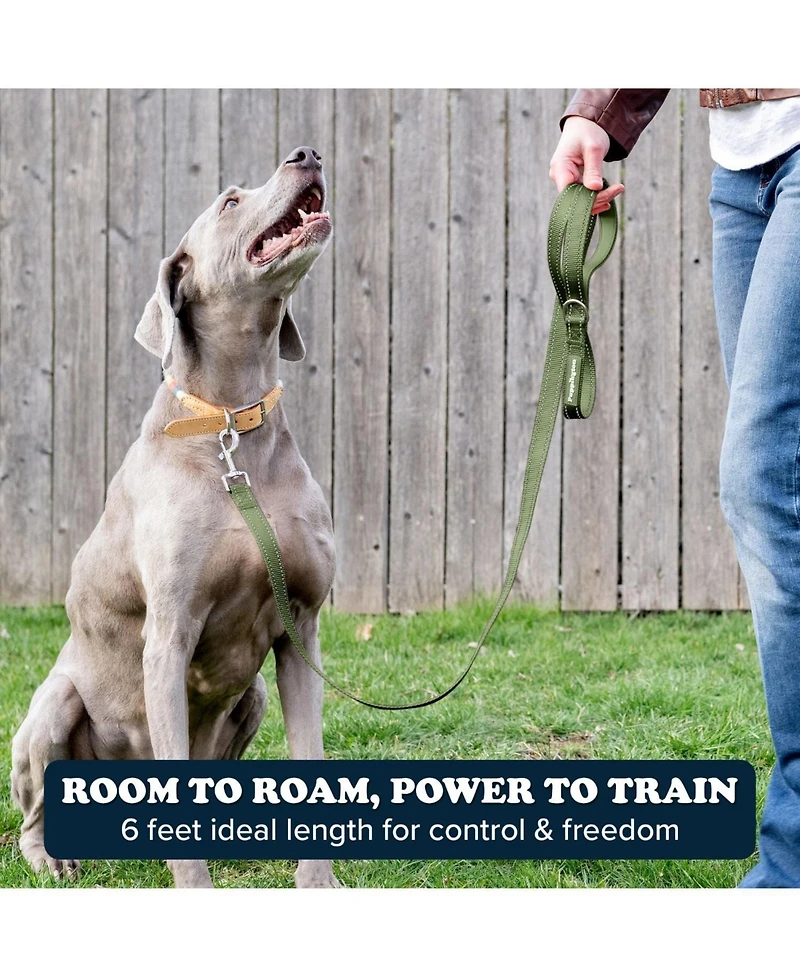 Puppington Reflective Leash