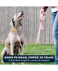 Puppington Reflective Leash