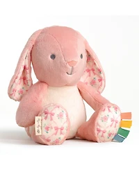 Itzy Ritzy Baby SweetieSnuggles Bunny Pink