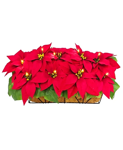 Puleo 24" Pre-Lit Artificial Poinsettia Window Box Decor