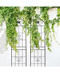 Streamdale Furniture 2-Pack 86.7" Metal Garden Trellis