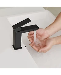 Greenspring Single Hole Single-Handle Bathroom Faucet with drain in Matte Black