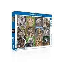 New York Puzzle Company Owls and Owlets 1000 Piece Puzzle