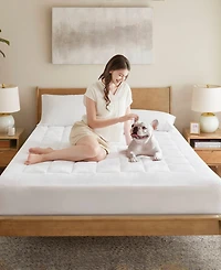 Madison Park Cloud Soft Plush Waterproof Mattress Pad
