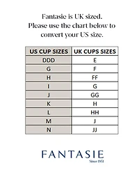 Fantasie Plus Demure Underwire Moulded Non Padded Bra