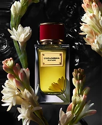 Dolce&Gabbana 7-Pc. Velvet Discovery Eau De Parfum Fragrance Set, 0.068 oz.