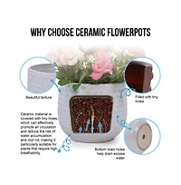 Chic Crate 3 Piece Ceramic Flowerpot Set with Drainage Modern Planters for Patio, Garden & Indoor Windowsills