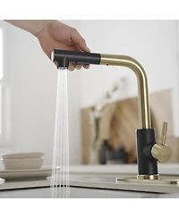 Greenspring 2 Sprayer Single Hole Single-Handle Pull Out Kitchen Faucet in Matte Black and Brushed Gold
