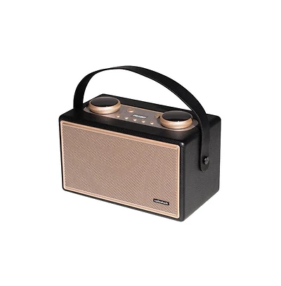 RadioShack 80W Gold Bluetooth Retro Speaker with Microphone Input Type C Charging Cable With Vintage Charm and Modern Sound 4001973