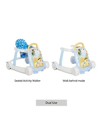 Dream On Me Baby Splash Walker And Activity Center
