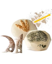 Discovery #Mindblown Dino Fossils Unearthed Excavation Kit 2-Pack