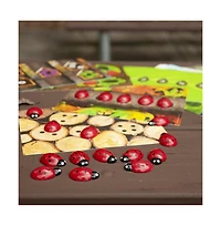 Yellow Door Ladybug Stones and Detailed Activity Cards