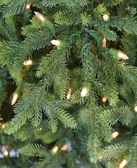 9' Pre-Lit Slim Balsam Fir Tree with 700 Color Select Led Lights, 5285 Tips