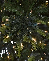 7.5' Pre-Lit Aspen Fir Tree with 600 Color Select Led Lights, 1319 Tips
