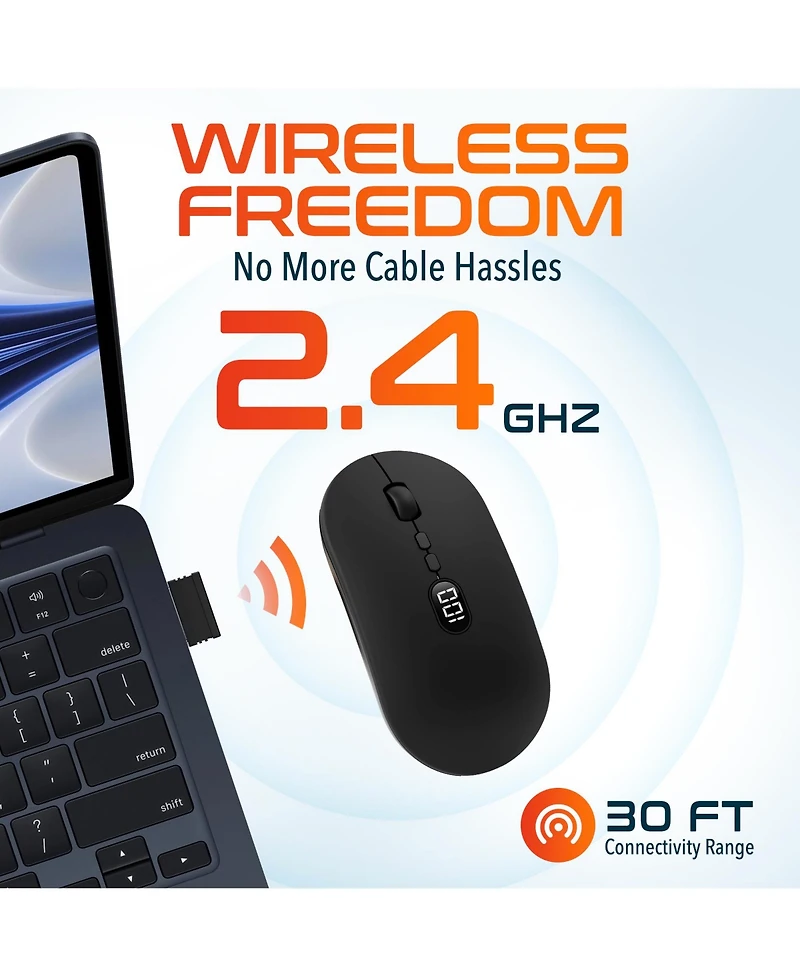 Delton S16 Wireless Mouse, Quiet, Adjustable Dpi (DMS16-wr)