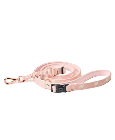 Dogistry 3-in-1 City Dog Leash