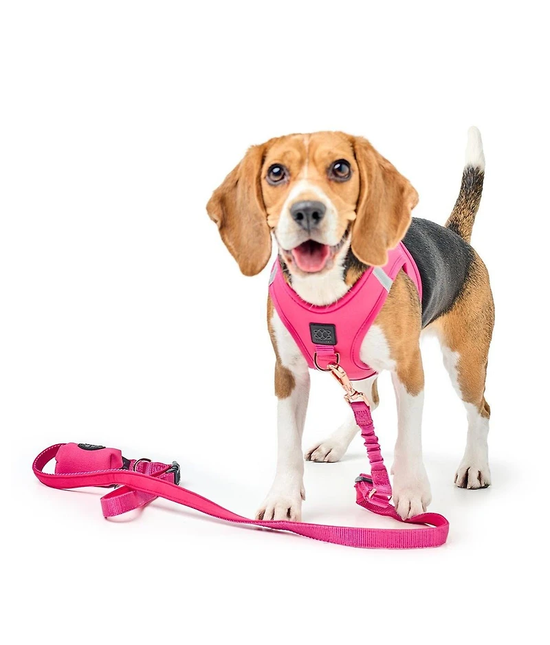 Dogistry 3-in-1 City Dog Leash