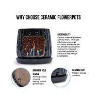 Chic Crate Set of 2 Modern Ceramic Planters