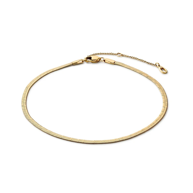 Ana Luisa Gold Anklet