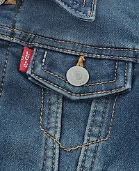 Levi's Baby Boys Hooded Trucker Jacket