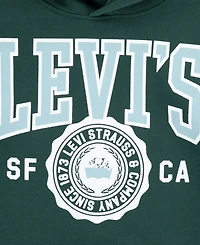 Levi's Boys 8-20 Sporty Long Sleeve Hoodie