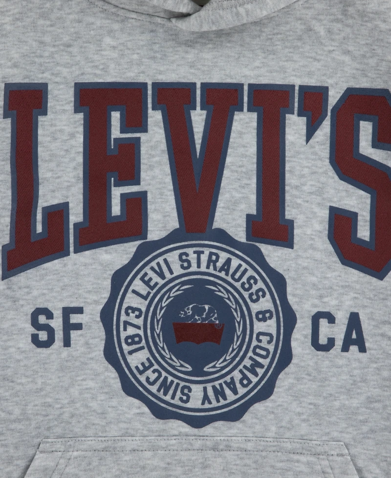 Levi's Boys 8-20 Sporty Long Sleeve Hoodie