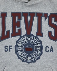 Levi's Boys 8-20 Sporty Long Sleeve Hoodie