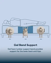 Serta Perfect Sleeper Cobra Lily 10.5" Plush Tight Top Mattress Set, Full