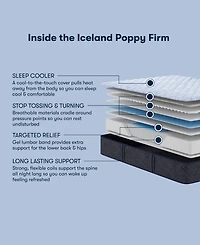 Serta Perfect Sleeper Iceland Poppy 12" Firm Tight Top Mattress Set, Queen