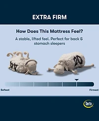 Serta Perfect Sleeper Osiria Rose 12" Extra Firm Tight Top Mattress Set, Twin